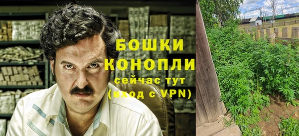 Альфа ПВП Дмитриев