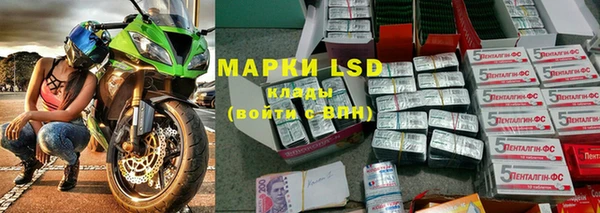 крисы Магас