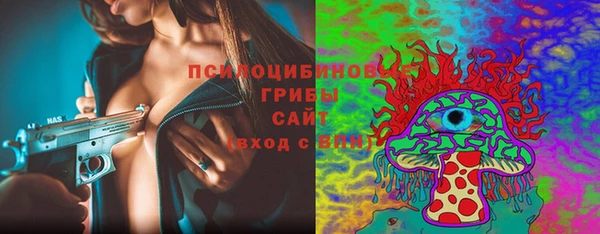 Альфа ПВП Дмитриев